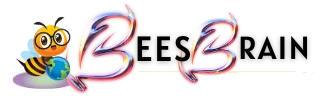 BeesBrain